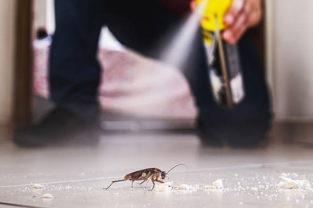 Best Cockroach Control Services  in Longtown, OK