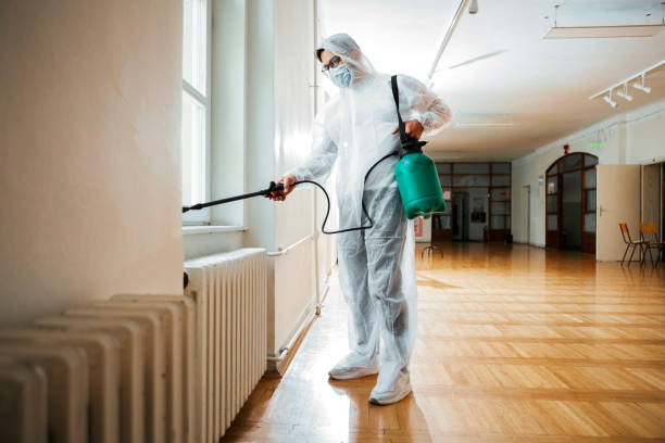 Best Affordable Pest Control Services  in Longtown, OK